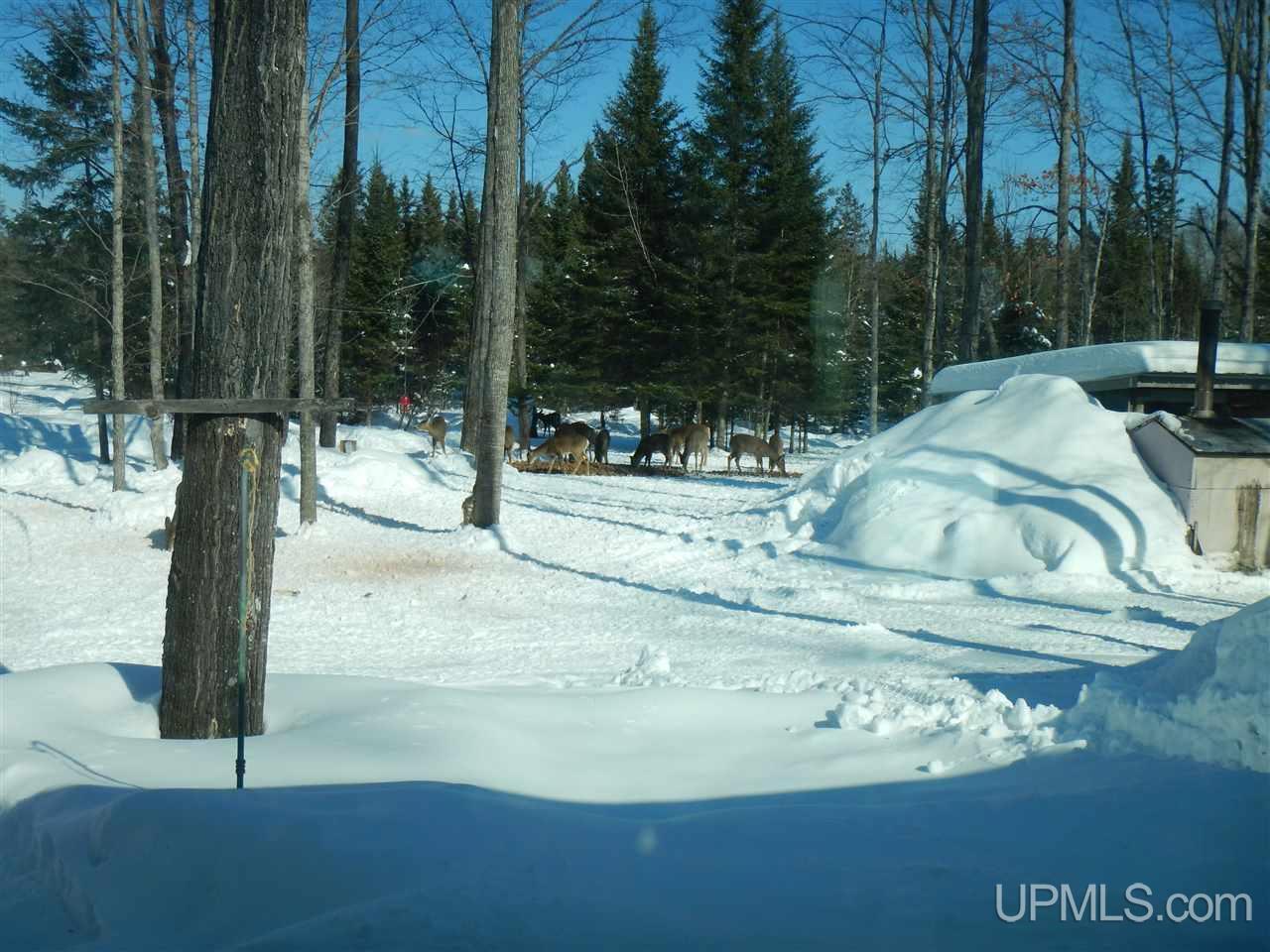 15490 County 426 M.5 Road Cornell, MI 49818 - Photo 20 of 34