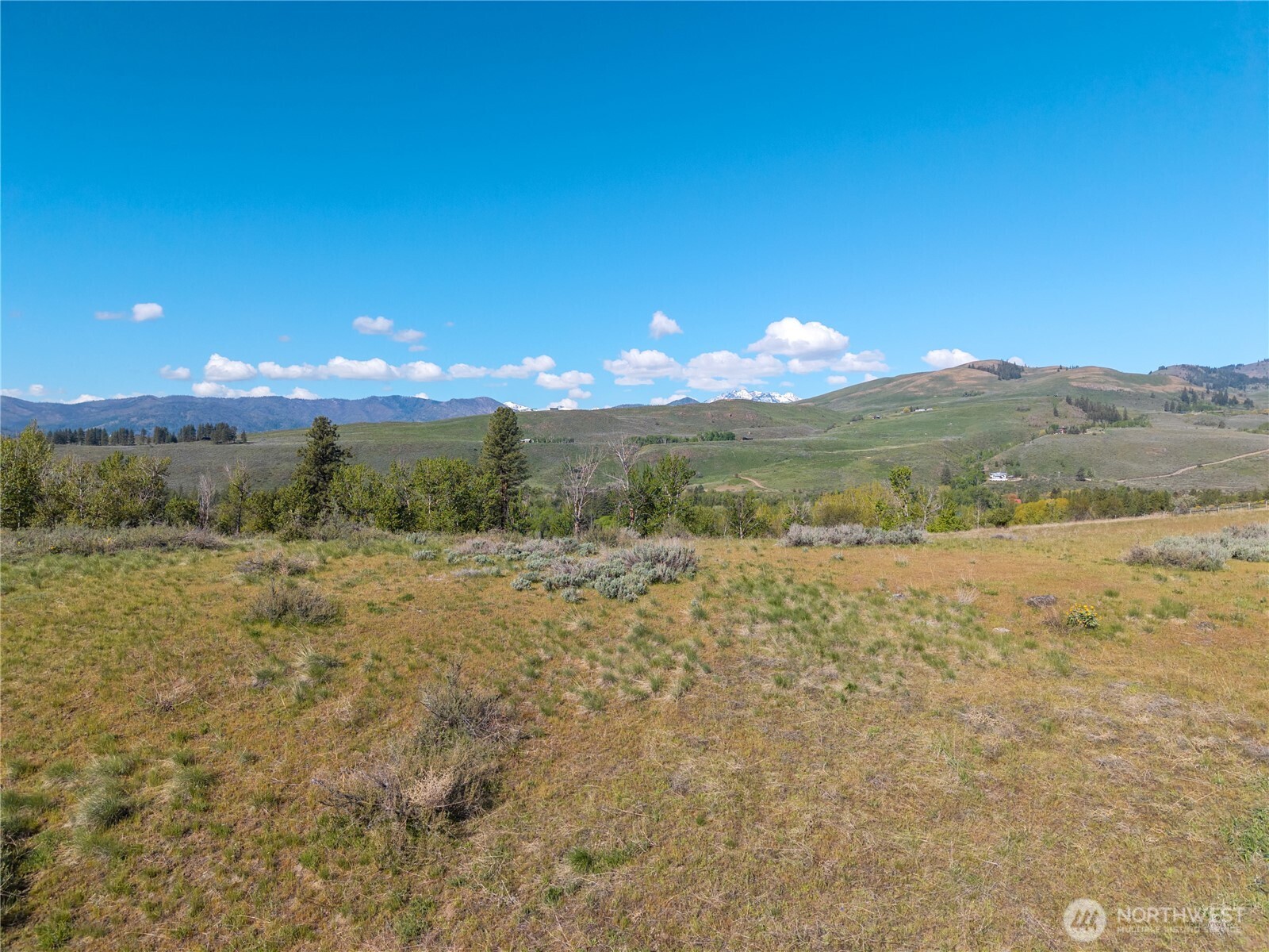 265 East Chewuch Road Winthrop, WA 98862 - Photo 8 of 28 Gallery Image 8