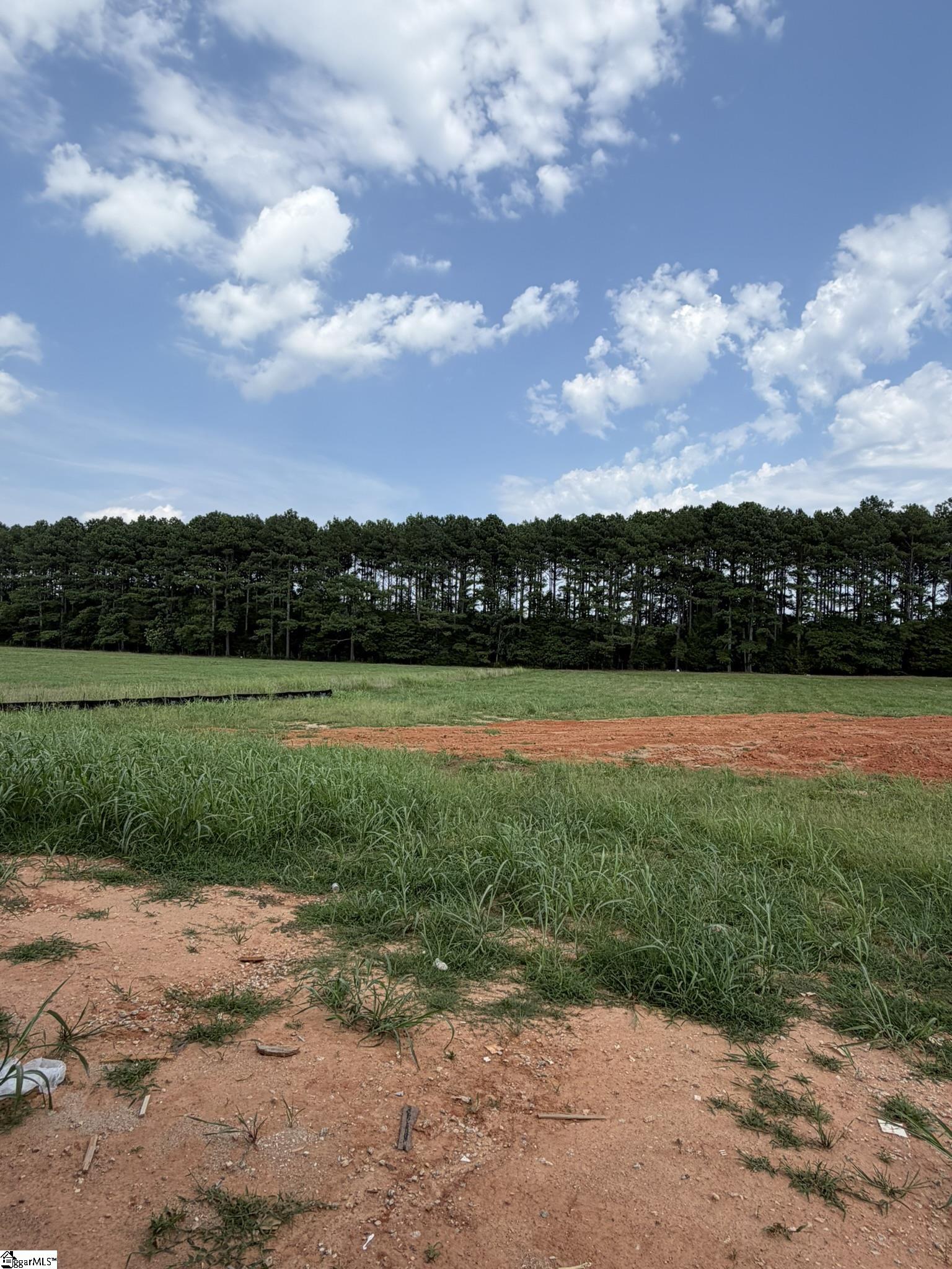 318 Richey Road Pelzer, SC 29669 - Photo 24 of 33 Gallery Image 24