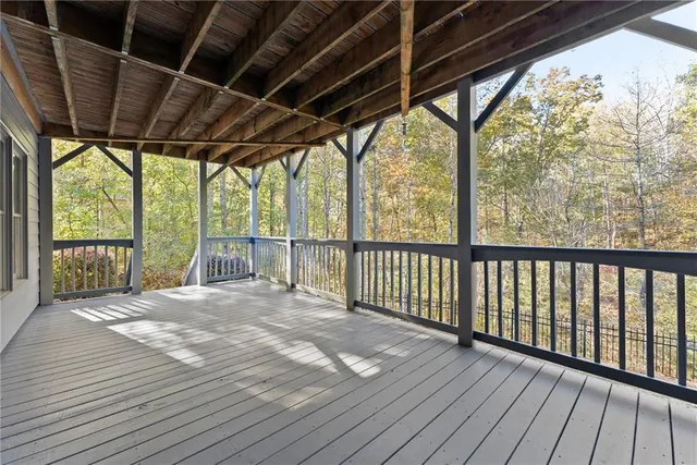 a view of a yard with plants and trees