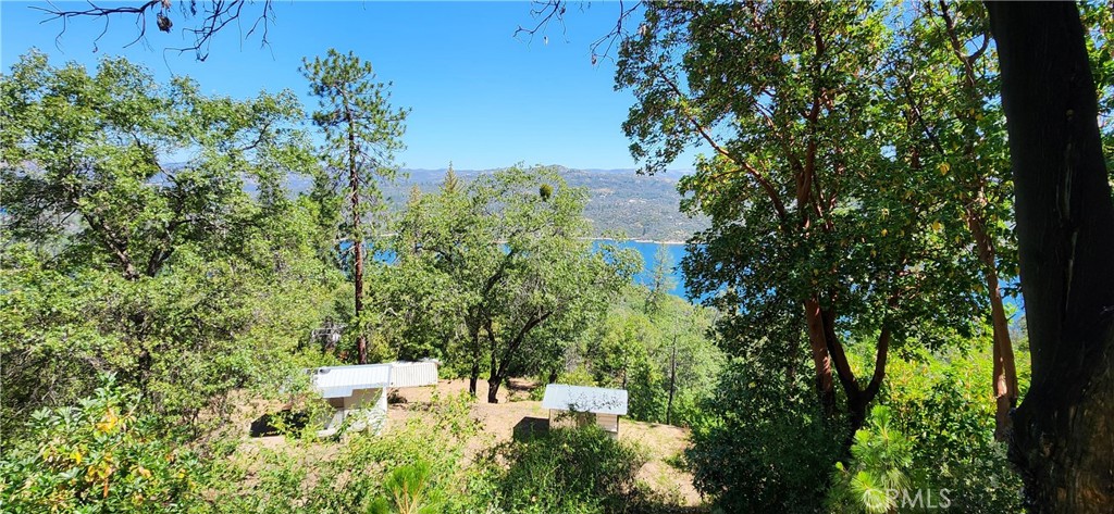 74 Lakeview Ridge Oroville, CA 95966 - Photo 39 of 42