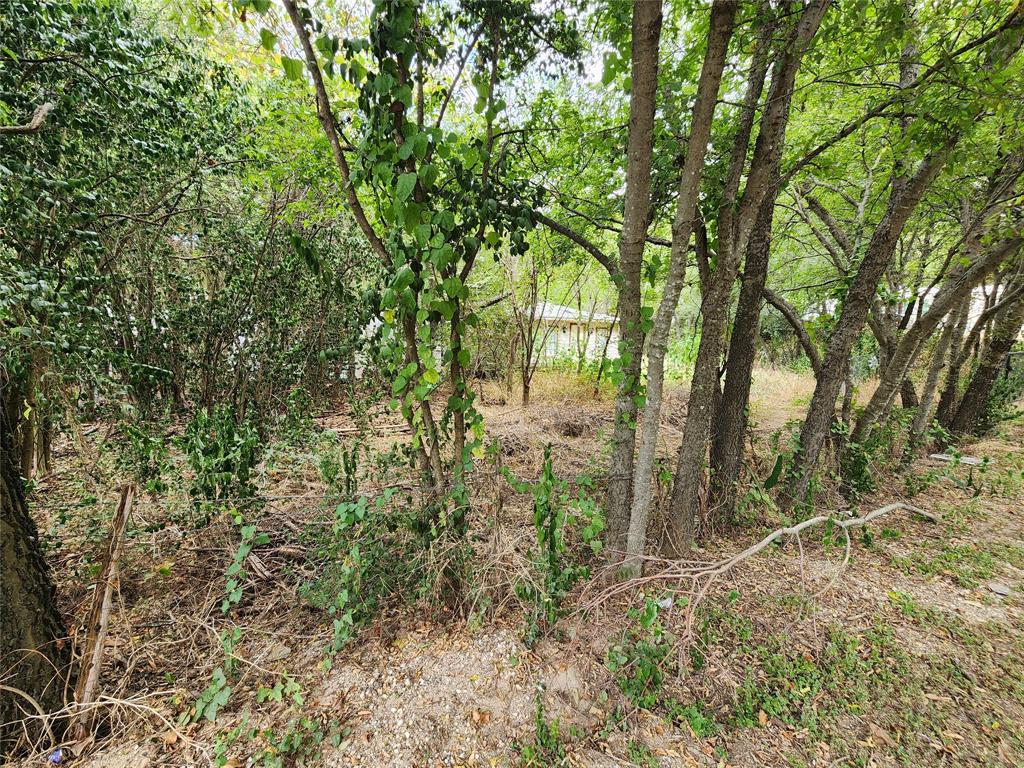 Tbd Timberline Drive Whitney, TX 76692 - Photo 8 of 11 a backyard of a house with lots of plants and large trees