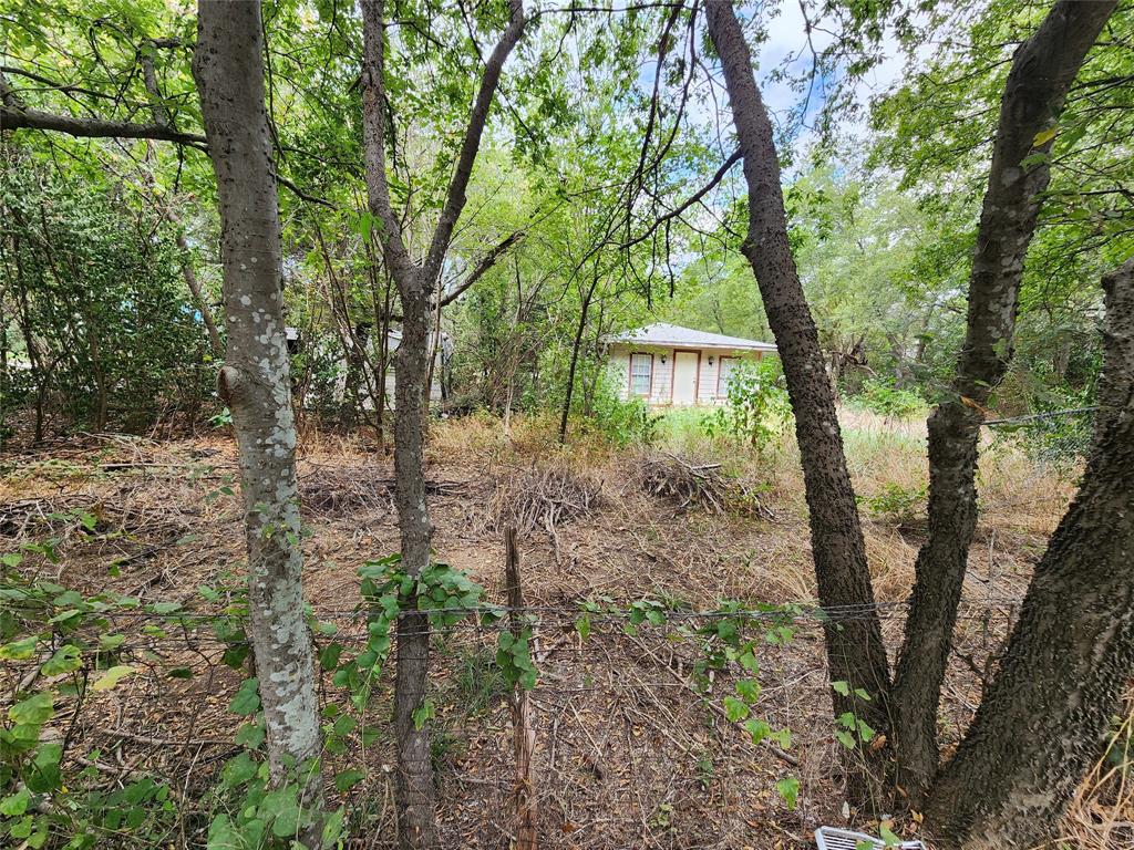 Tbd Timberline Drive Whitney, TX 76692 - Photo 9 of 11 a view of a house with a tree in the yard