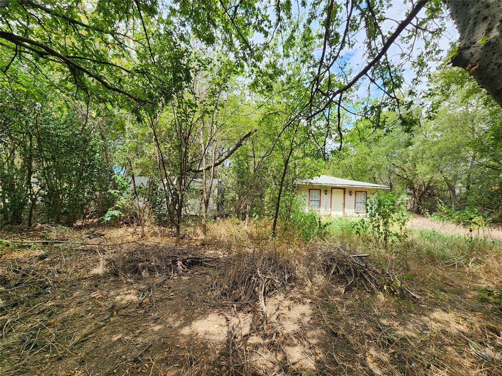 Tbd Timberline Drive Whitney, TX 76692 - Photo 10 of 11 a view of a garden with a bench