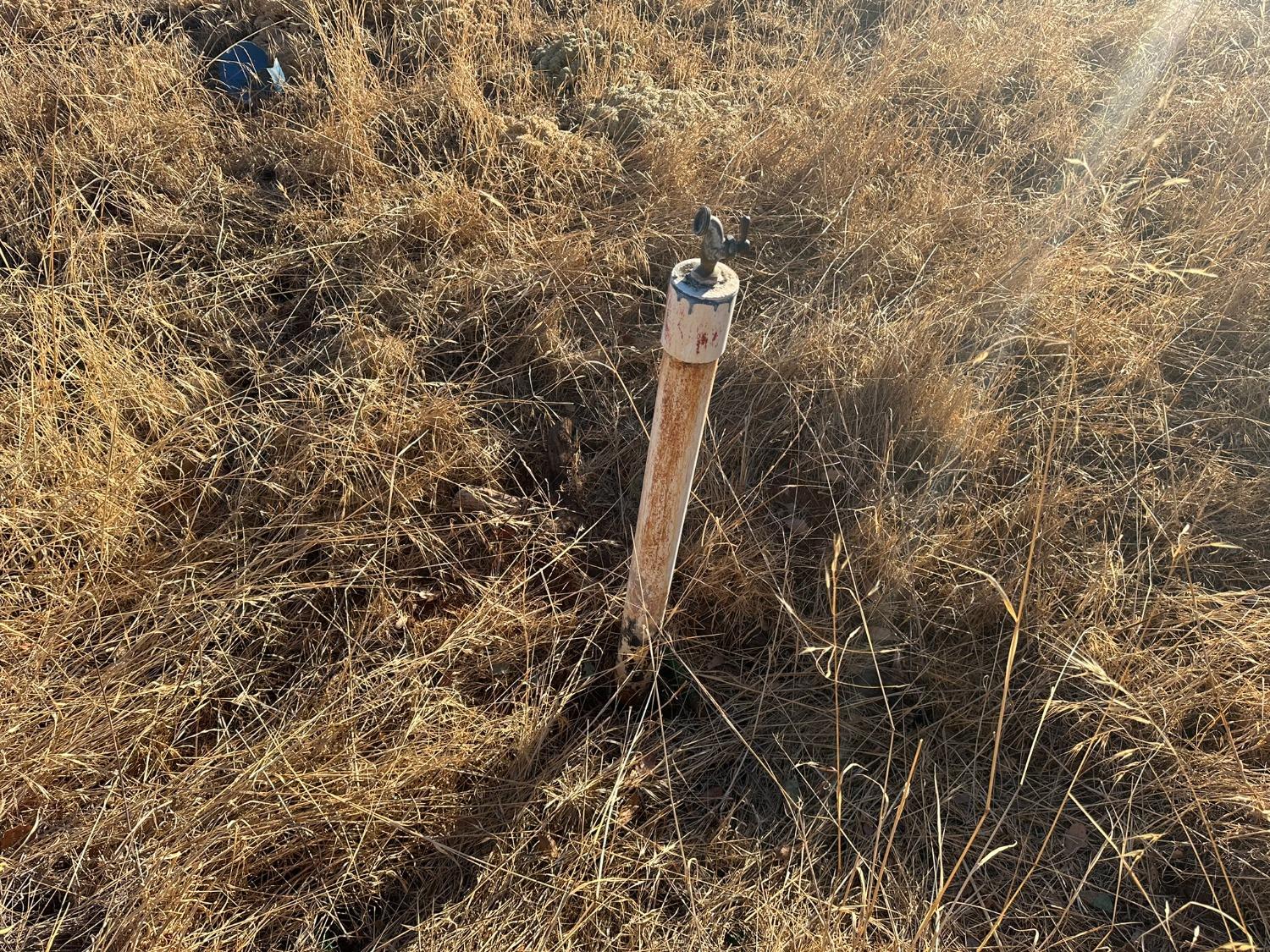 7388 Brandon Road Shingle Springs, CA 95682 - Photo 12 of 40 a close up of a plant in a bathroom