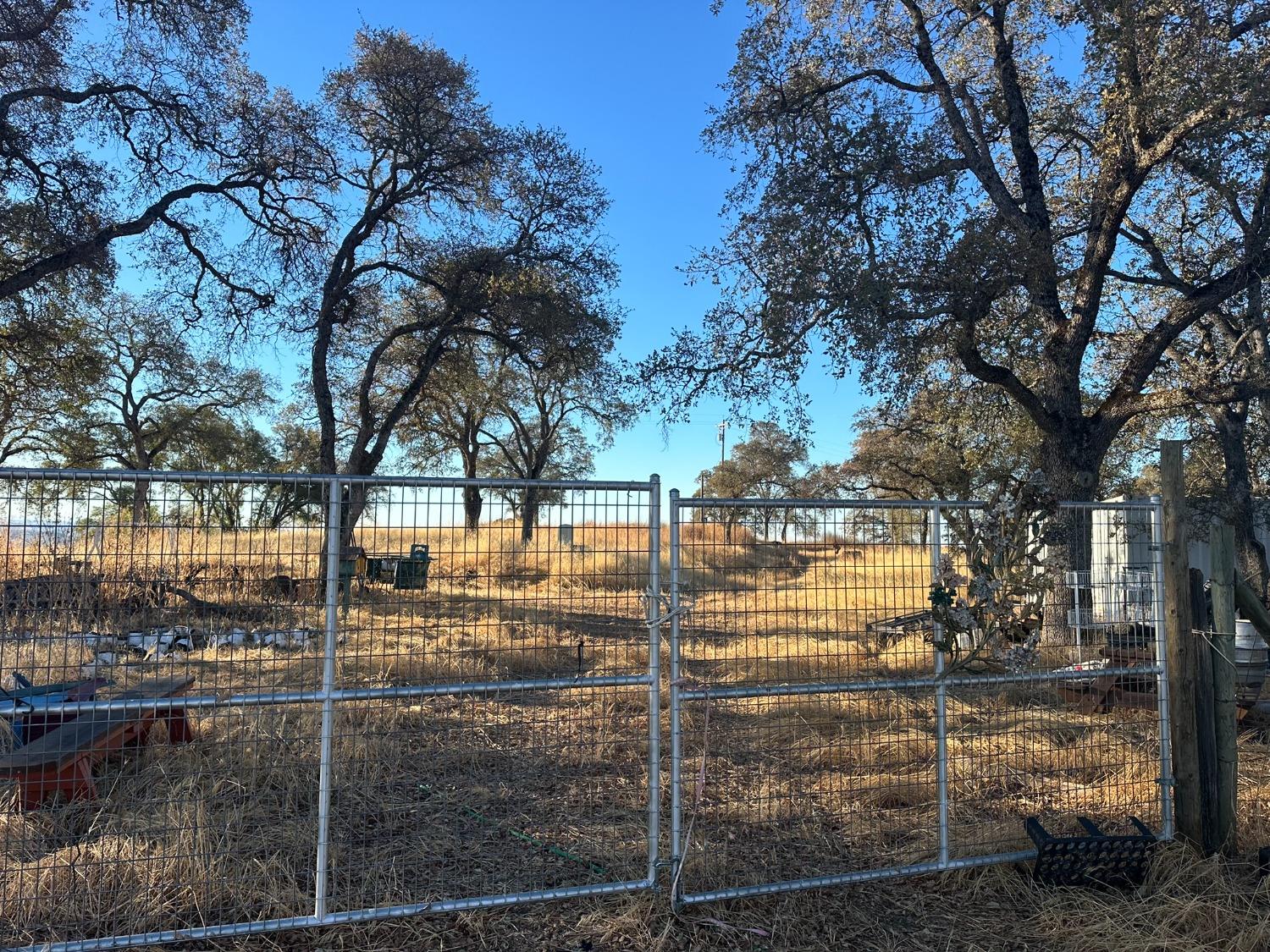 7388 Brandon Road Shingle Springs, CA 95682 - Photo 13 of 40 a view of a yard with trees