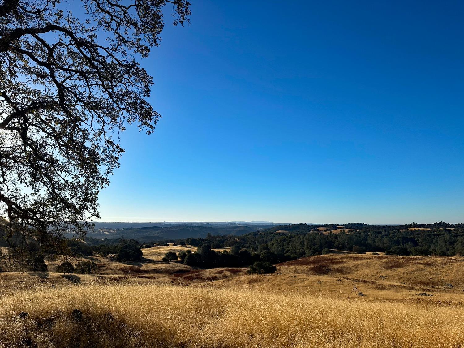 7388 Brandon Road Shingle Springs, CA 95682 - Photo 15 of 40 a view of swimming pool with a yard