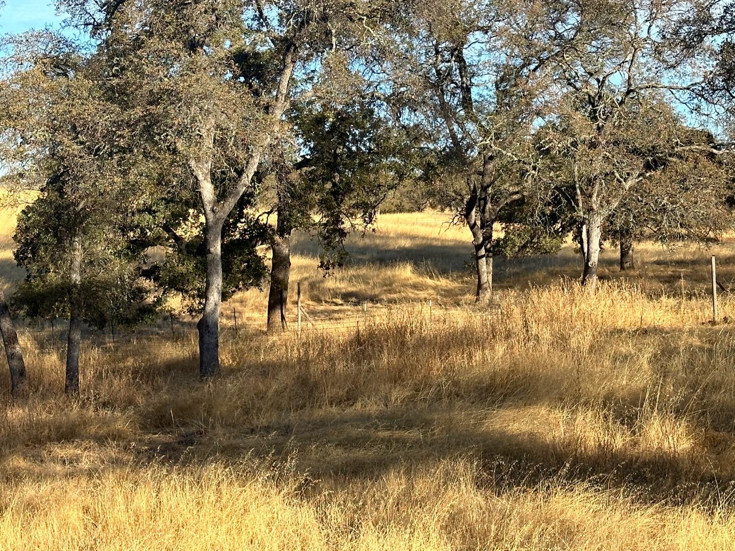 7388 Brandon Road Shingle Springs, CA 95682 - Photo 20 of 40 a view of lake with green space