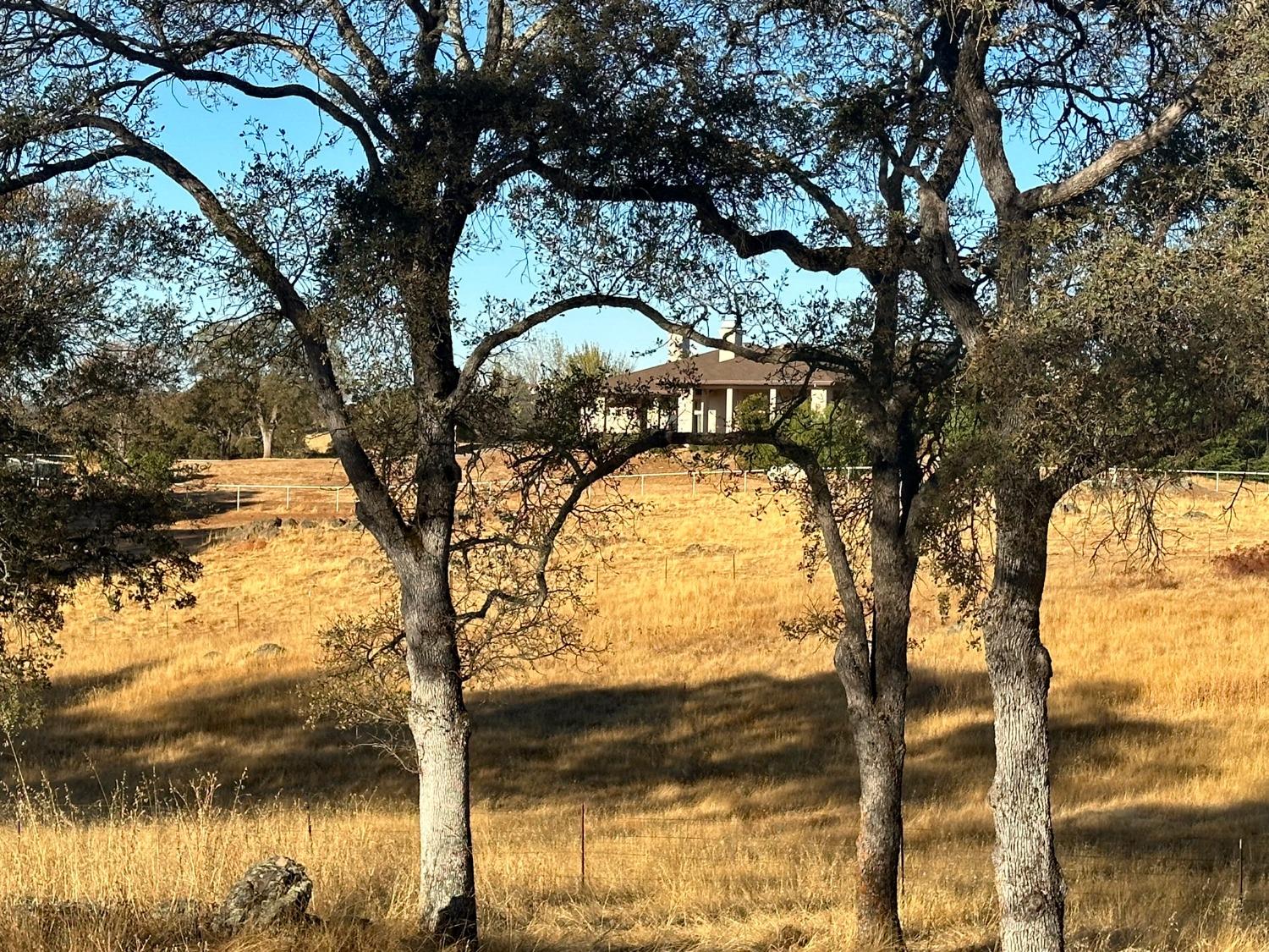 7388 Brandon Road Shingle Springs, CA 95682 - Photo 21 of 40 a picture of trees