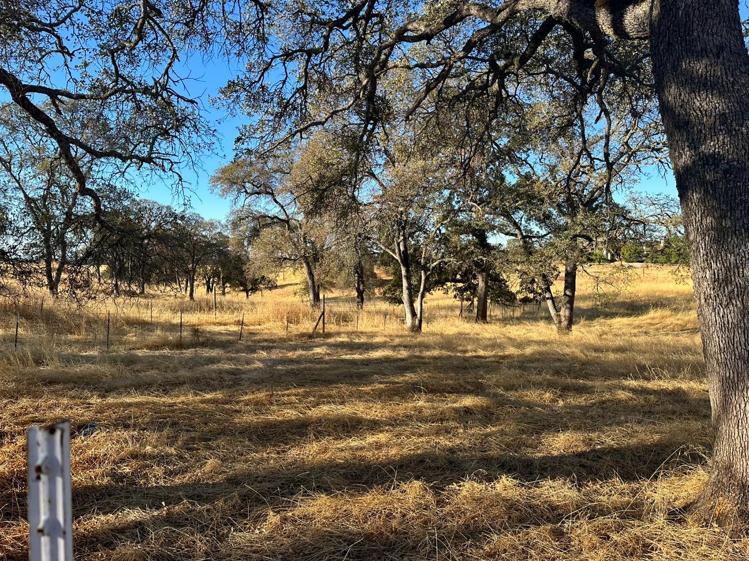 7388 Brandon Road Shingle Springs, CA 95682 - Photo 26 of 40 a view of a yard with large trees