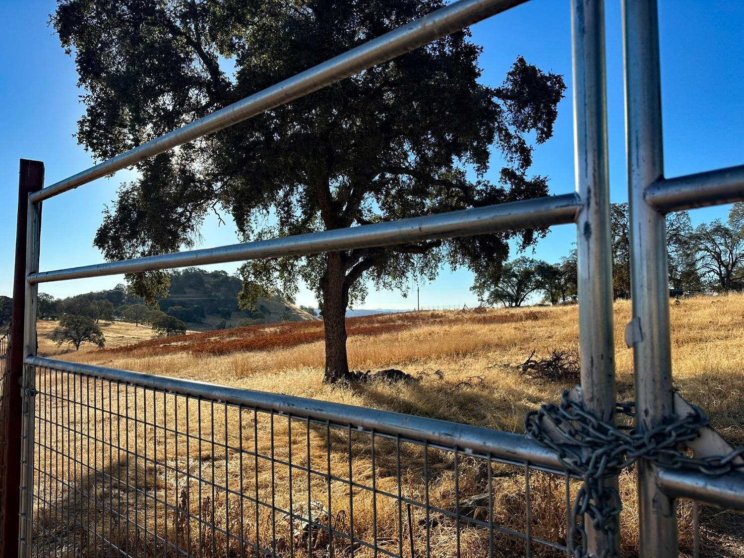7388 Brandon Road Shingle Springs, CA 95682 - Photo 28 of 40 a view of swimming pool from a balcony