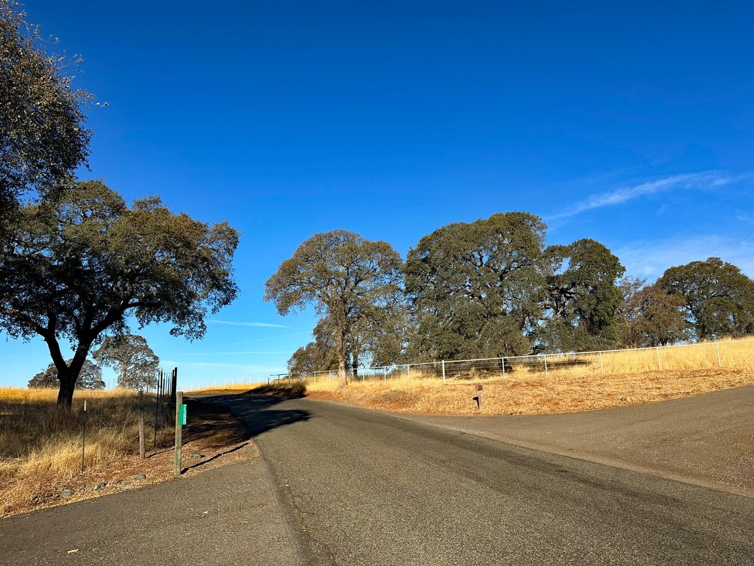 7388 Brandon Road Shingle Springs, CA 95682 - Photo 29 of 40 a view of a yard next to a building