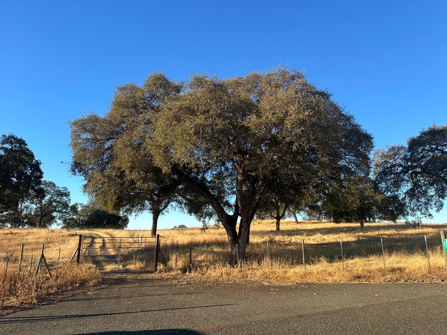 7388 Brandon Road Shingle Springs, CA 95682 - Photo 3 of 40 a view of lake view