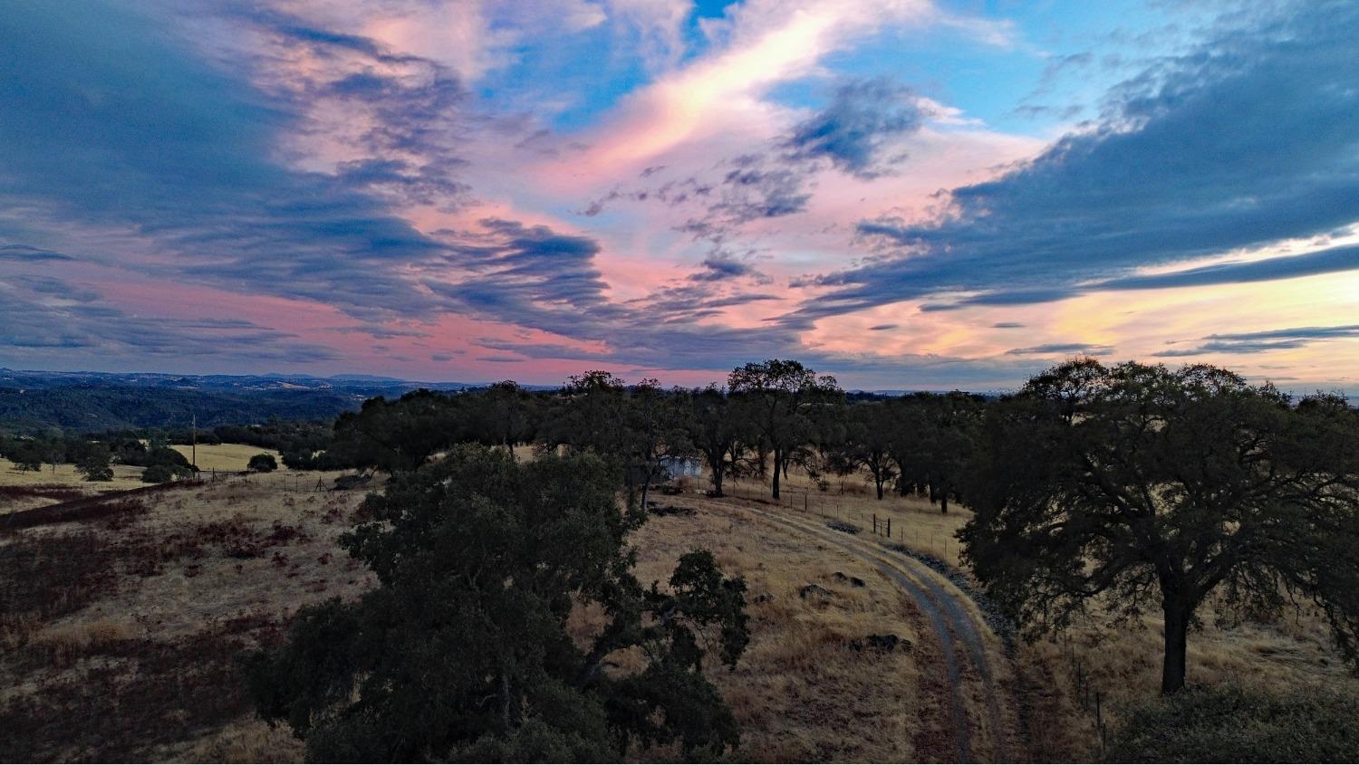 7388 Brandon Road Shingle Springs, CA 95682 - Photo 34 of 40 a view of a lot of trees in front of house