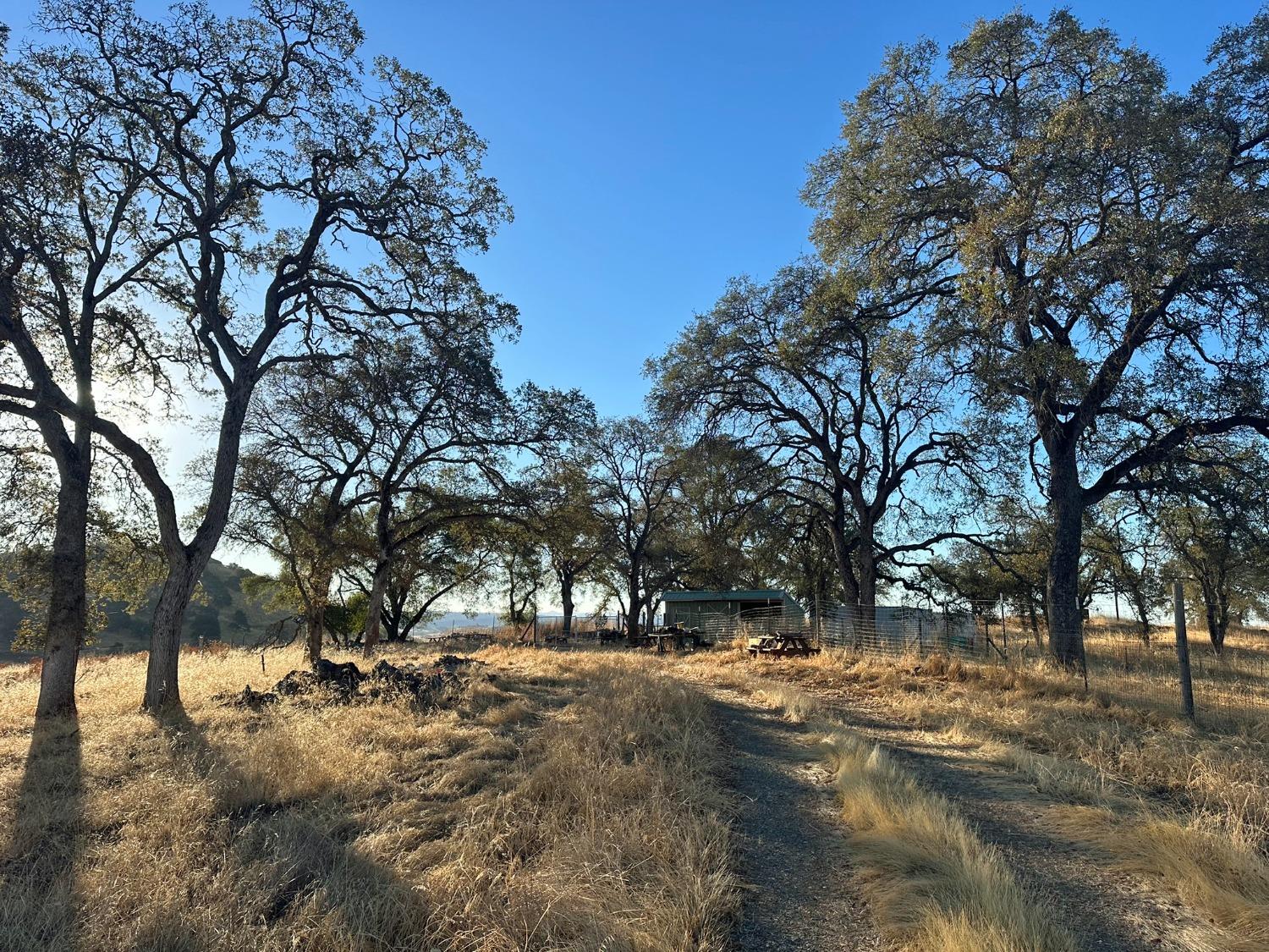 7388 Brandon Road Shingle Springs, CA 95682 - Photo 9 of 40 a view of road with trees