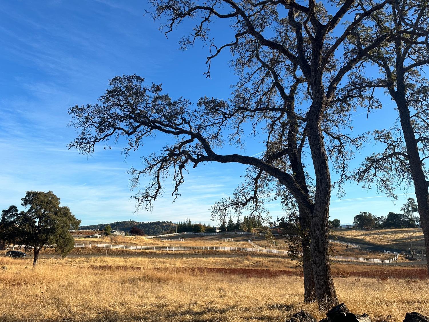 7388 Brandon Road Shingle Springs, CA 95682 - Photo 10 of 40 a view of a yard