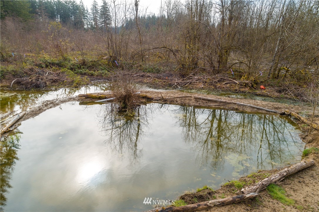 243 Gartner Road Winlock, WA 98596 - Photo 31 of 38 a view of swimming pool with a yard