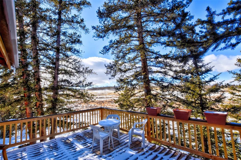 151 Haida Road Como, CO 80456 - Photo 17 of 35 Gallery Image 17