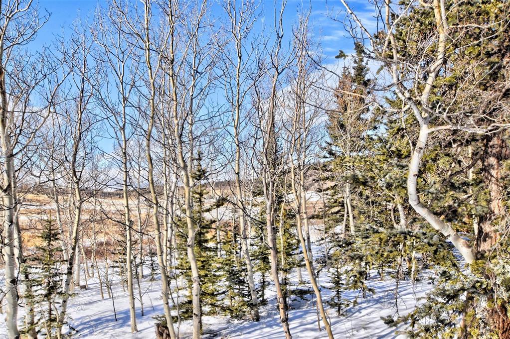 151 Haida Road Como, CO 80456 - Photo 2 of 35 Gallery Image 2