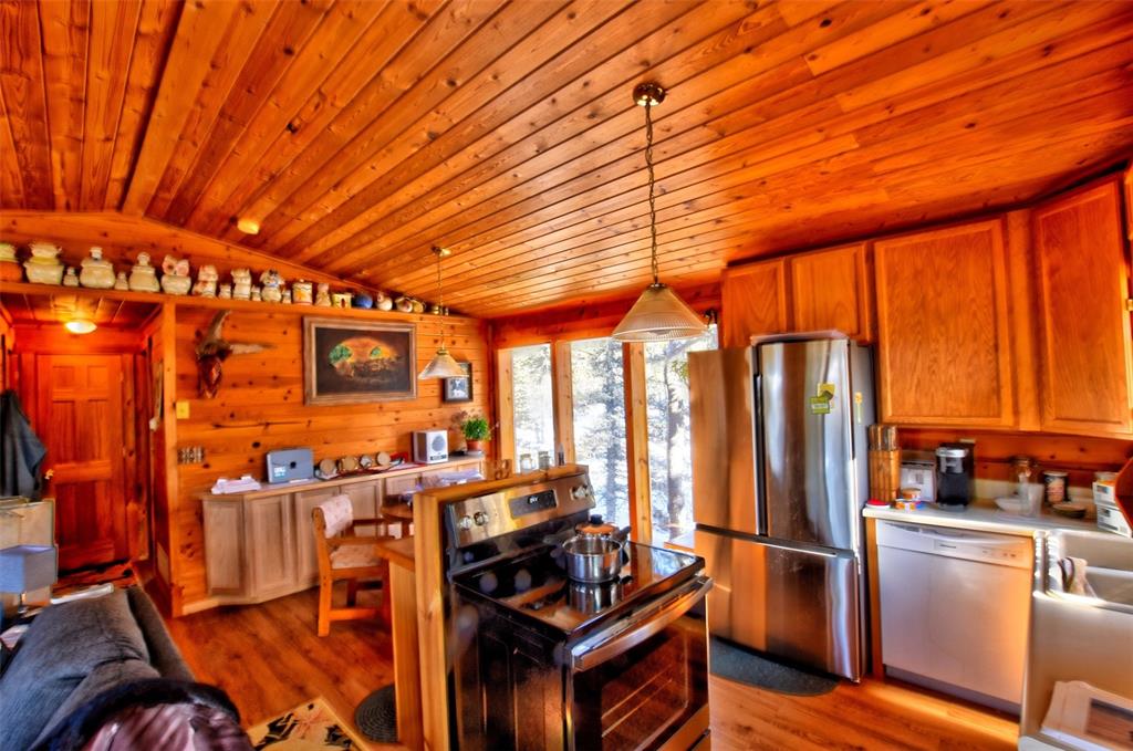 151 Haida Road Como, CO 80456 - Photo 21 of 35 Gallery Image 21