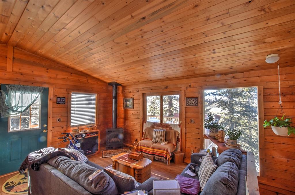 151 Haida Road Como, CO 80456 - Photo 24 of 35 Gallery Image 24