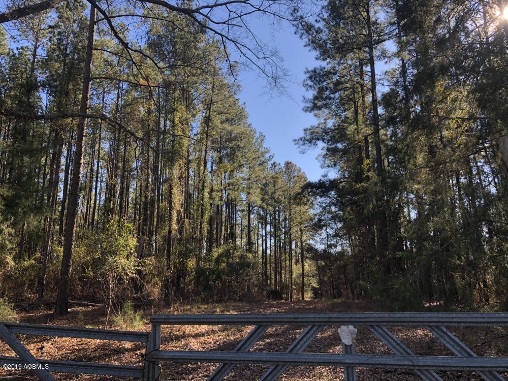 1783 Boiling Springs Road Barnwell, SC 29812 - Photo 11 of 50 11