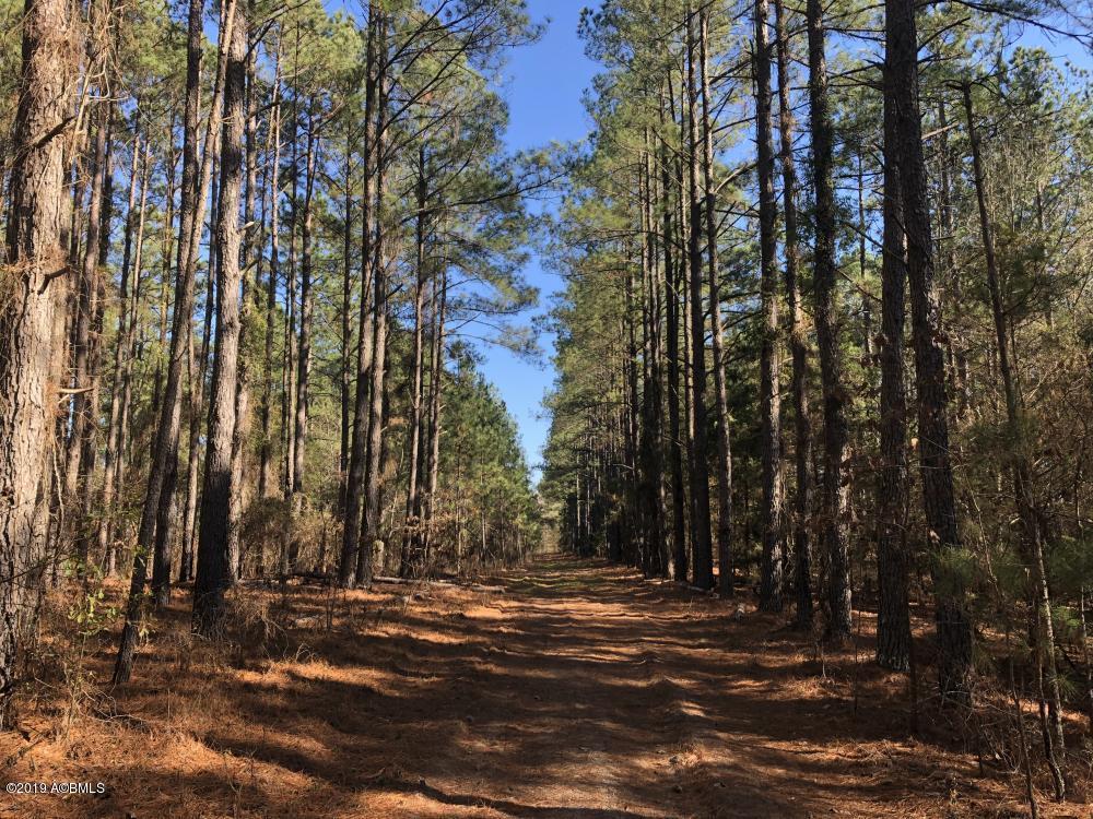1783 Boiling Springs Road Barnwell, SC 29812 - Photo 12 of 50 12