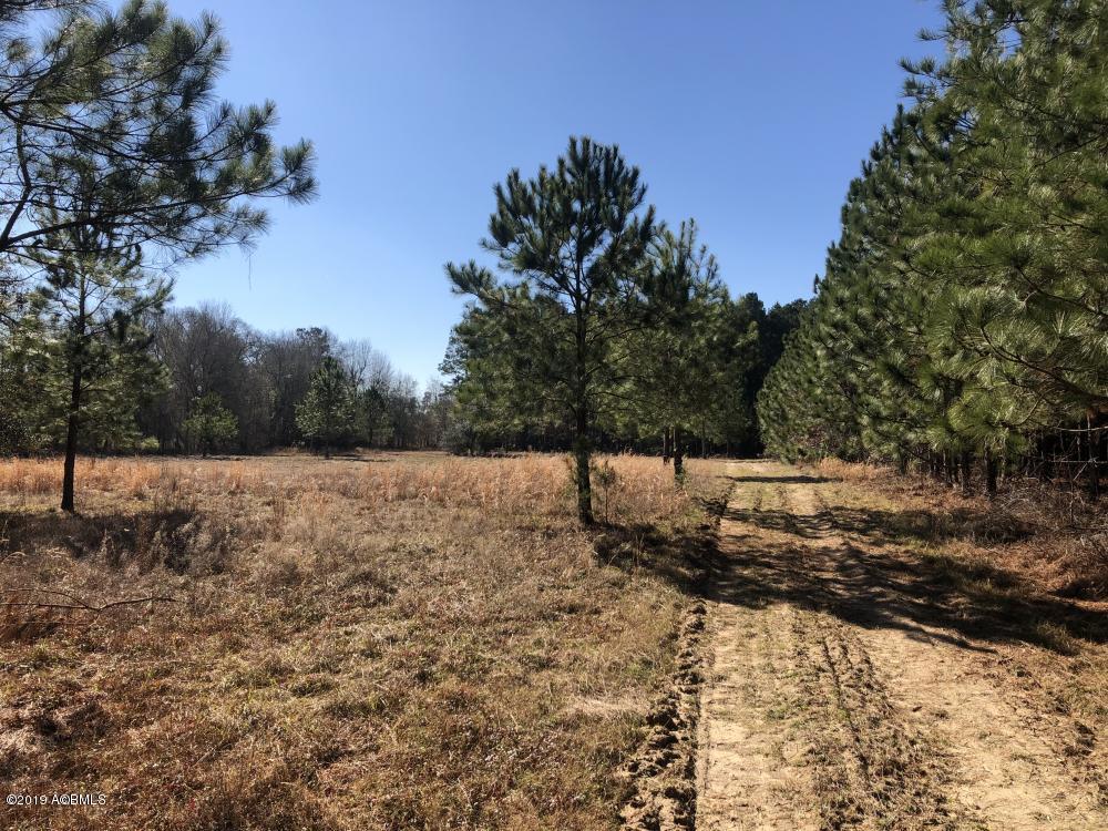 1783 Boiling Springs Road Barnwell, SC 29812 - Photo 26 of 50 26
