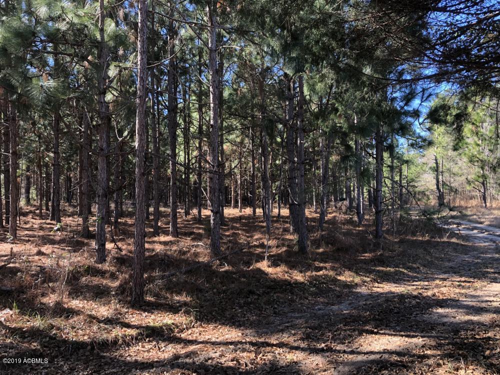 1783 Boiling Springs Road Barnwell, SC 29812 - Photo 27 of 50 27