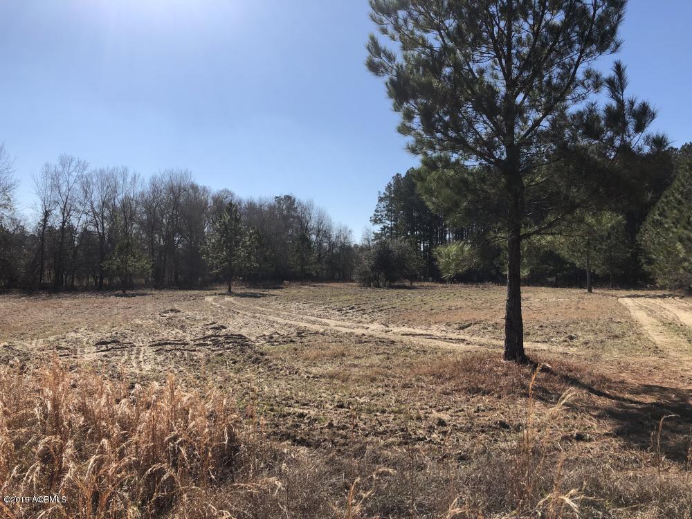 1783 Boiling Springs Road Barnwell, SC 29812 - Photo 28 of 50 28