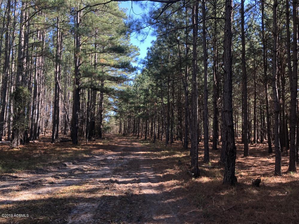 1783 Boiling Springs Road Barnwell, SC 29812 - Photo 32 of 50 32