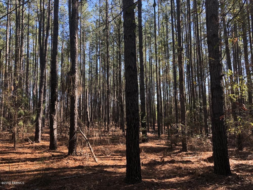 1783 Boiling Springs Road Barnwell, SC 29812 - Photo 33 of 50 33