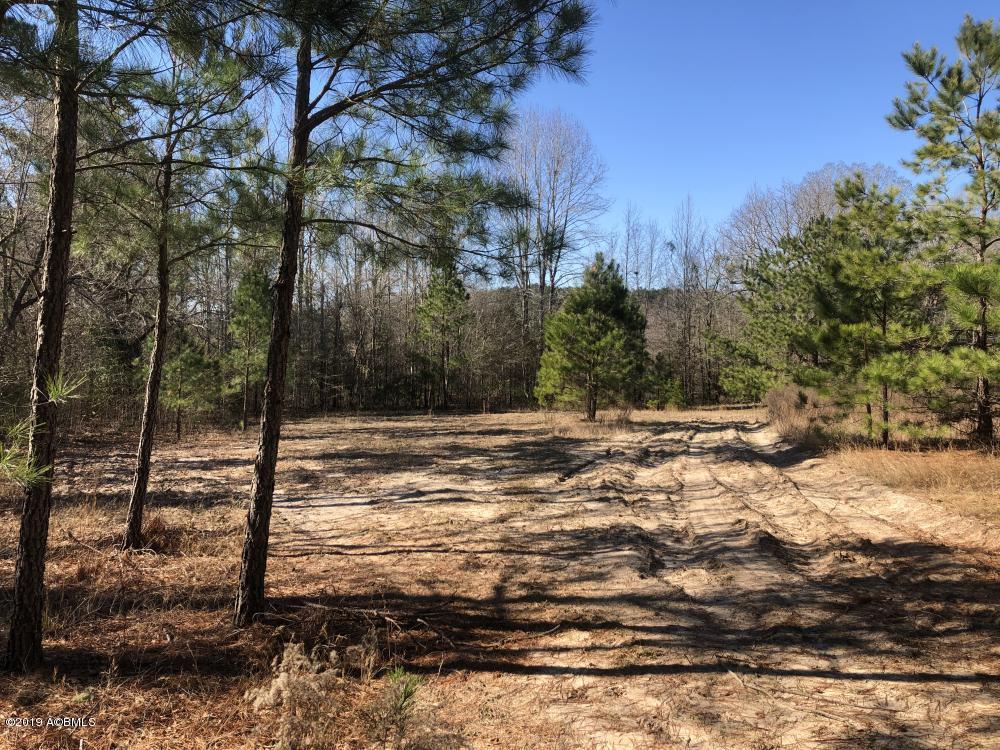 1783 Boiling Springs Road Barnwell, SC 29812 - Photo 45 of 50 45