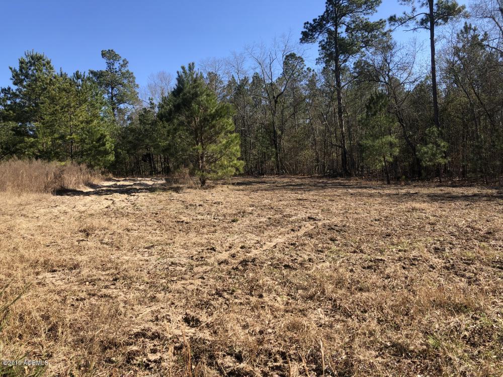 1783 Boiling Springs Road Barnwell, SC 29812 - Photo 46 of 50 46
