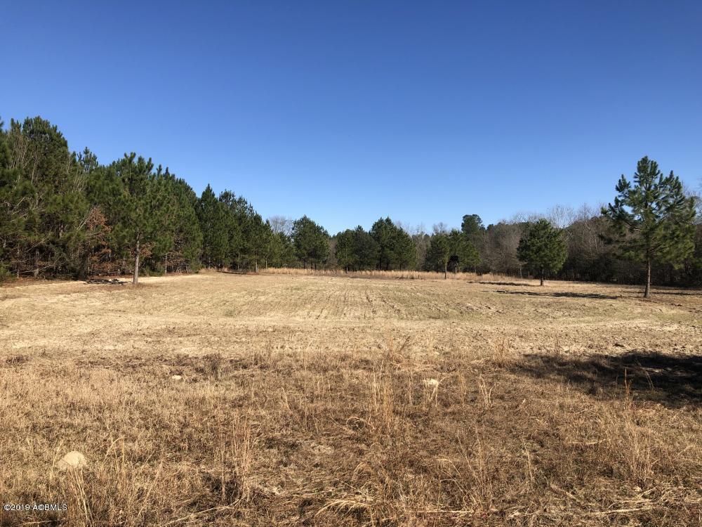 1783 Boiling Springs Road Barnwell, SC 29812 - Photo 5 of 50 5