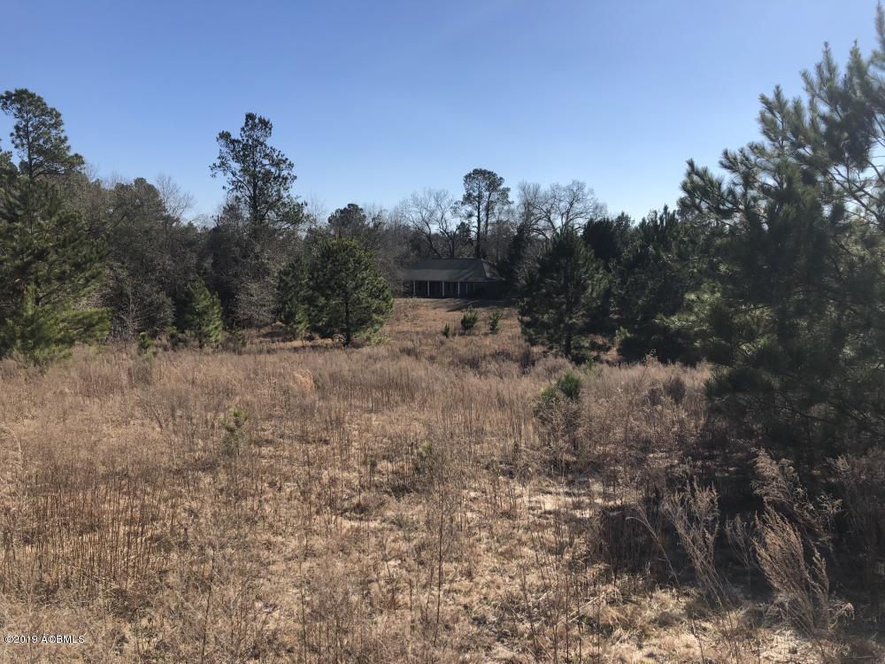 1783 Boiling Springs Road Barnwell, SC 29812 - Photo 10 of 50 10