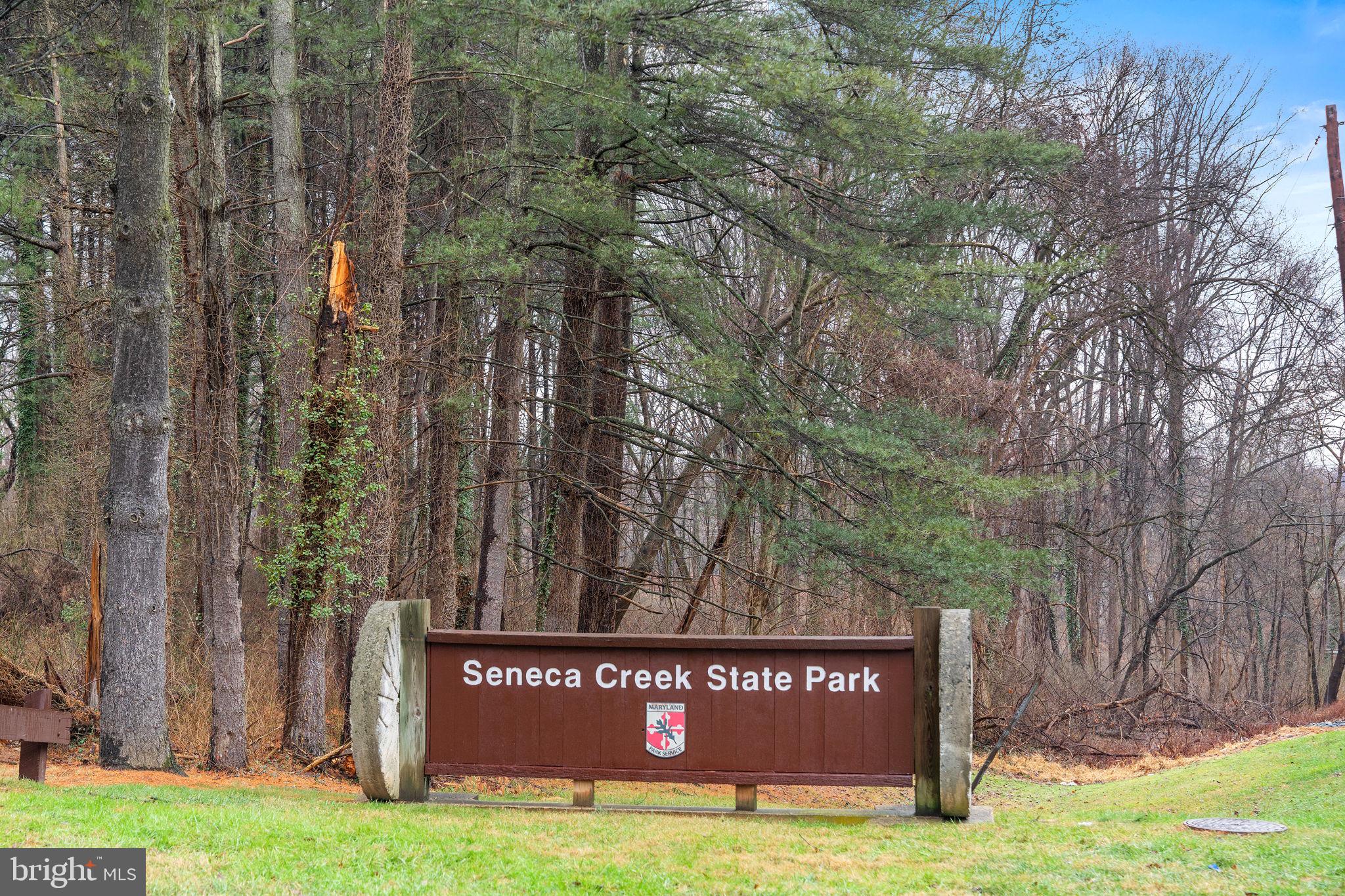 18521 Boysenberry Drive, Unit 242172 Gaithersburg, MD 20879 - Photo 38 of 43 a view of a park with large trees