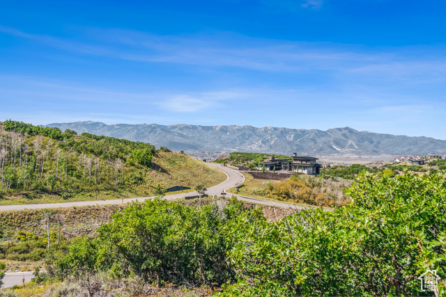 3575 Wapiti Cyn Road Park City, UT 84098 - Photo 5 of 32