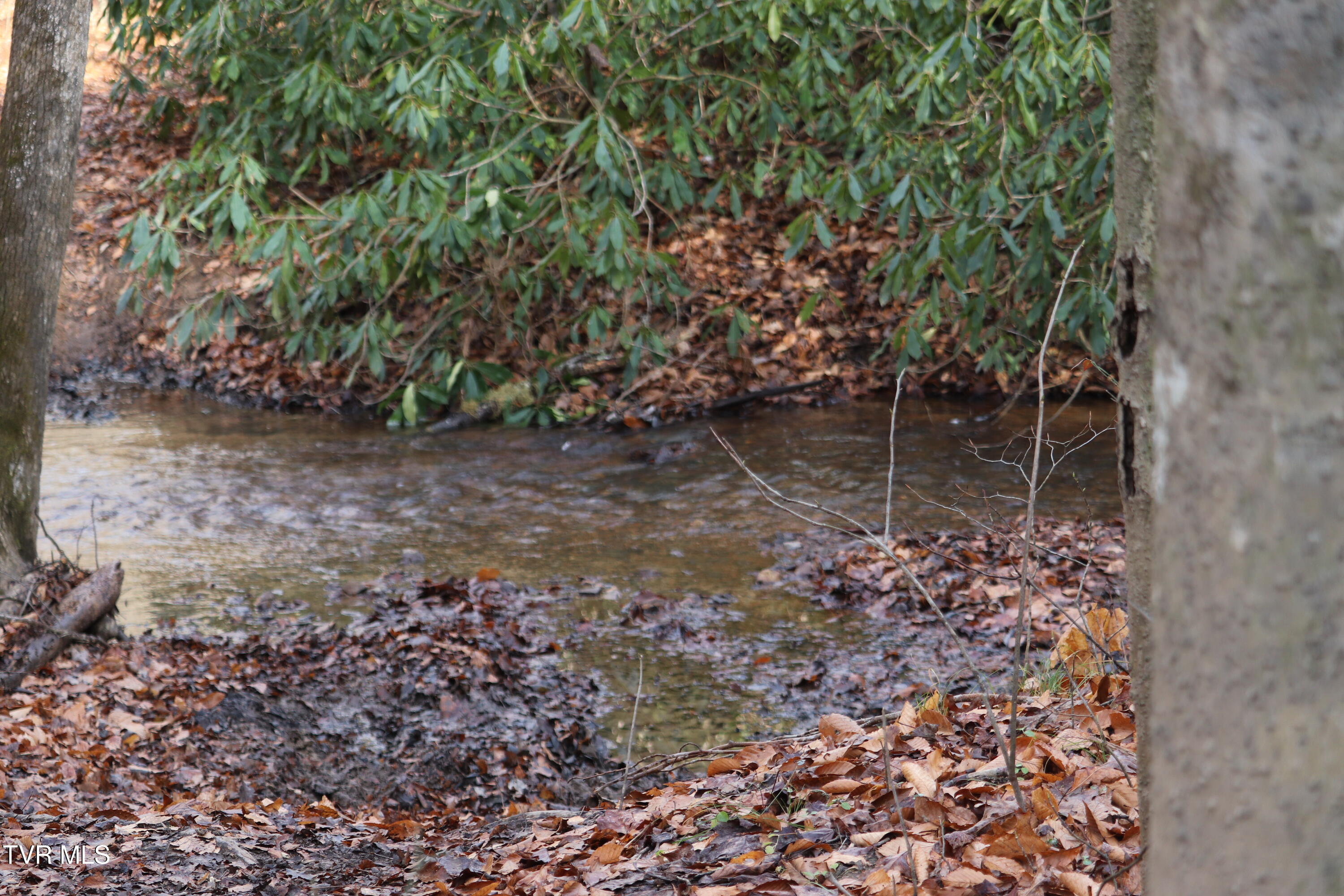 0 Briar Fork Road Bean Station, TN 37708 - Photo 11 of 30 briar fork 9
