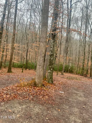 $850,000 | 0 Briar Fork Road, Bean Station, TN 37708