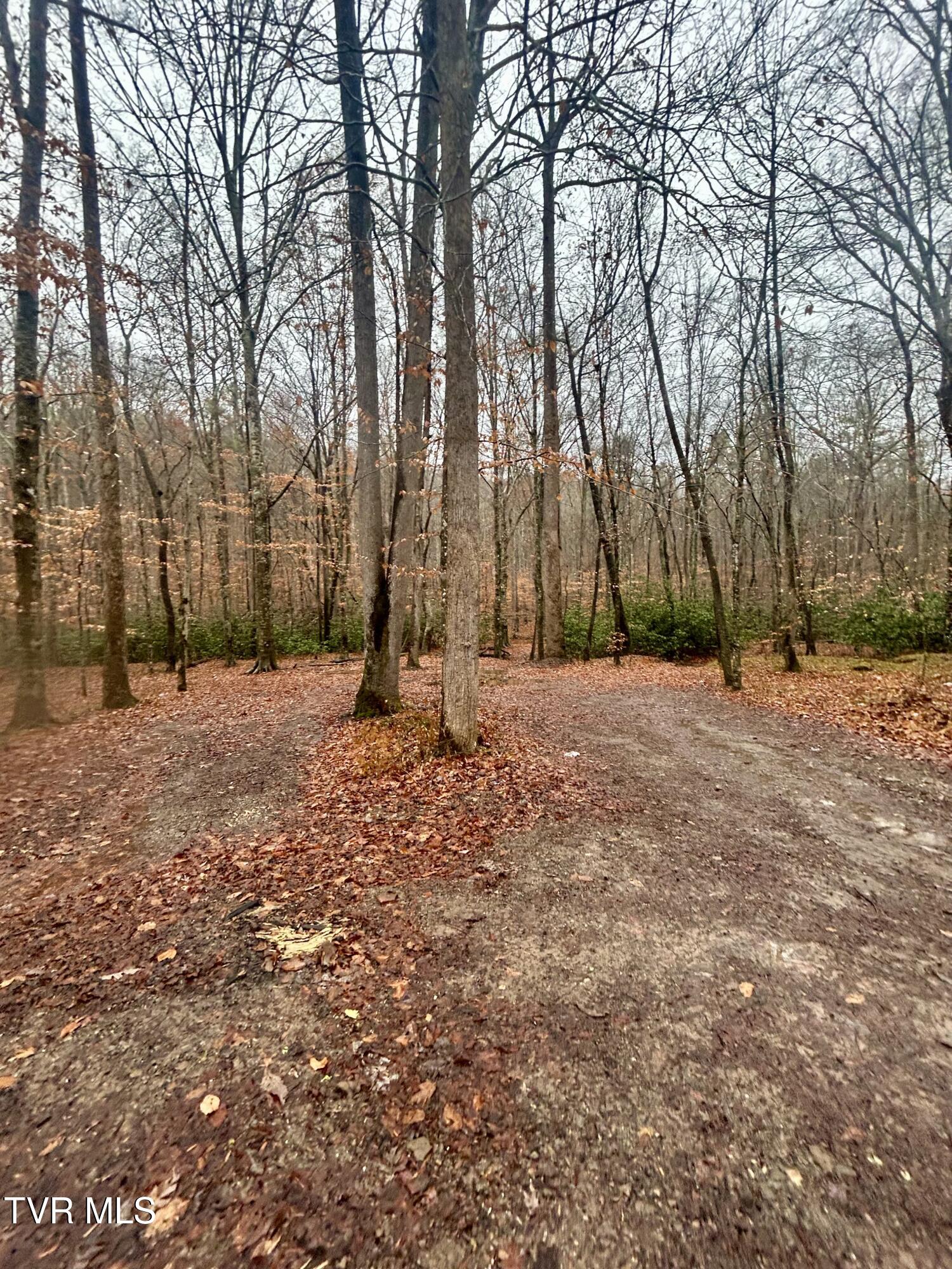 0 Briar Fork Road Bean Station, TN 37708 - Photo 14 of 30 IMG_8584