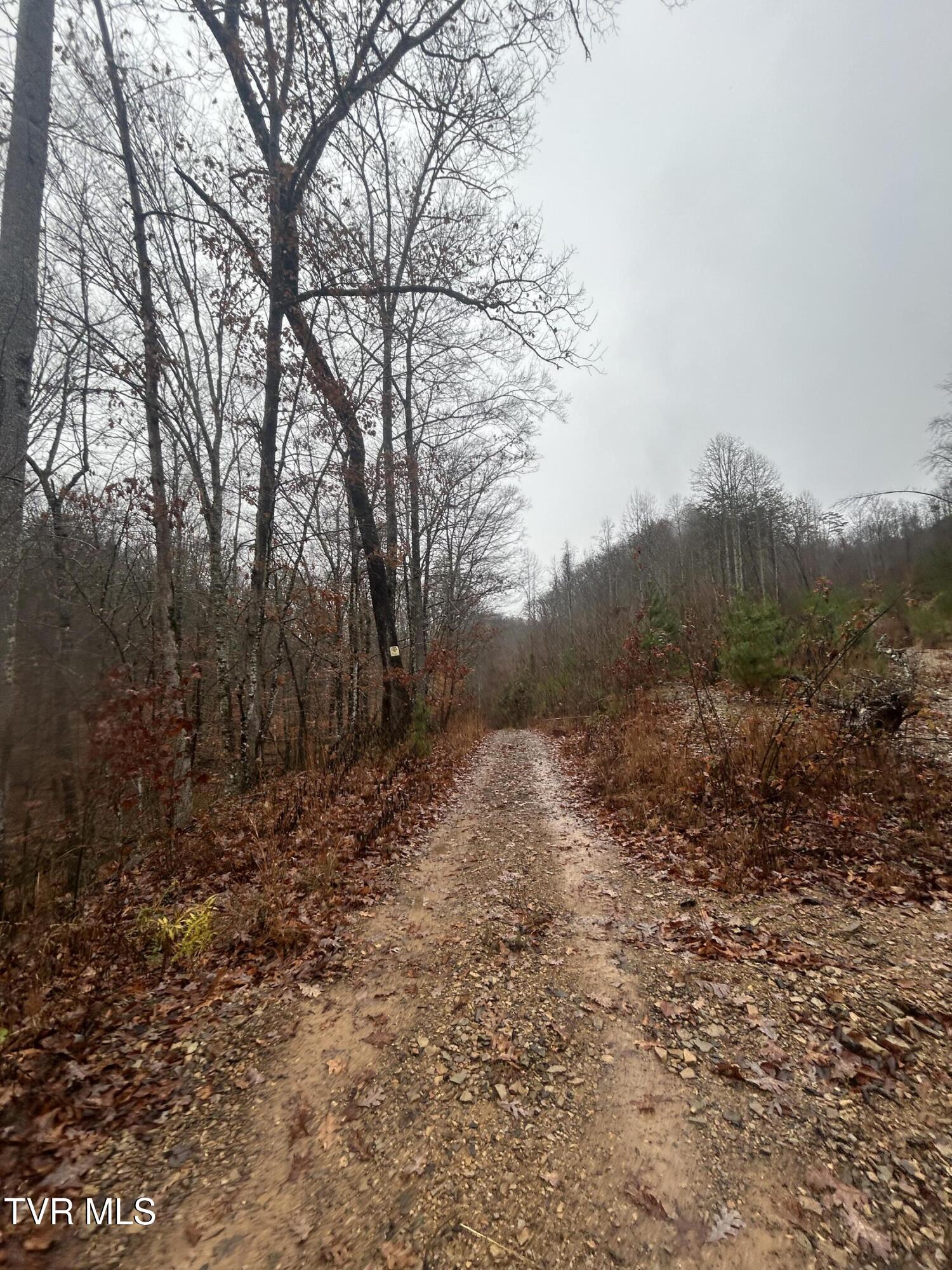 0 Briar Fork Road Bean Station, TN 37708 - Photo 15 of 30 IMG_8602
