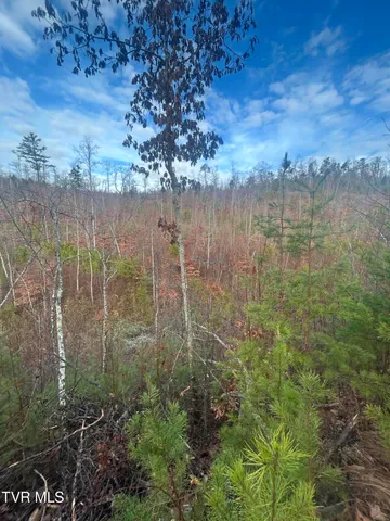 $850,000 | 0 Briar Fork Road, Bean Station, TN 37708