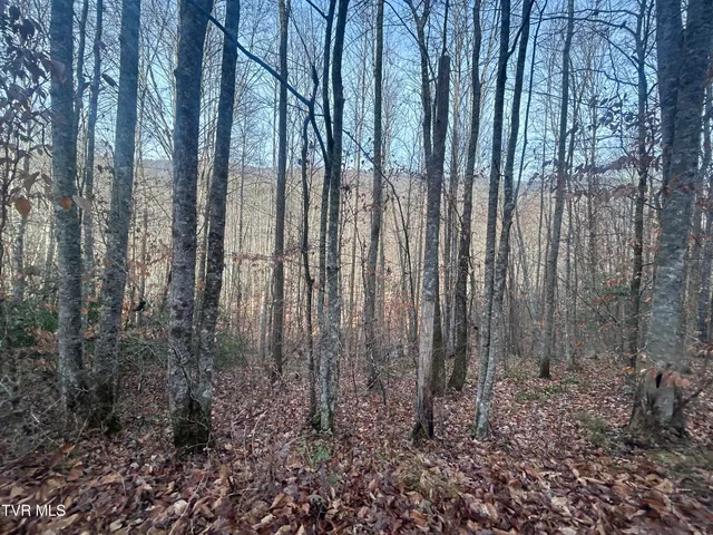 $850,000 | 0 Briar Fork Road, Bean Station, TN 37708