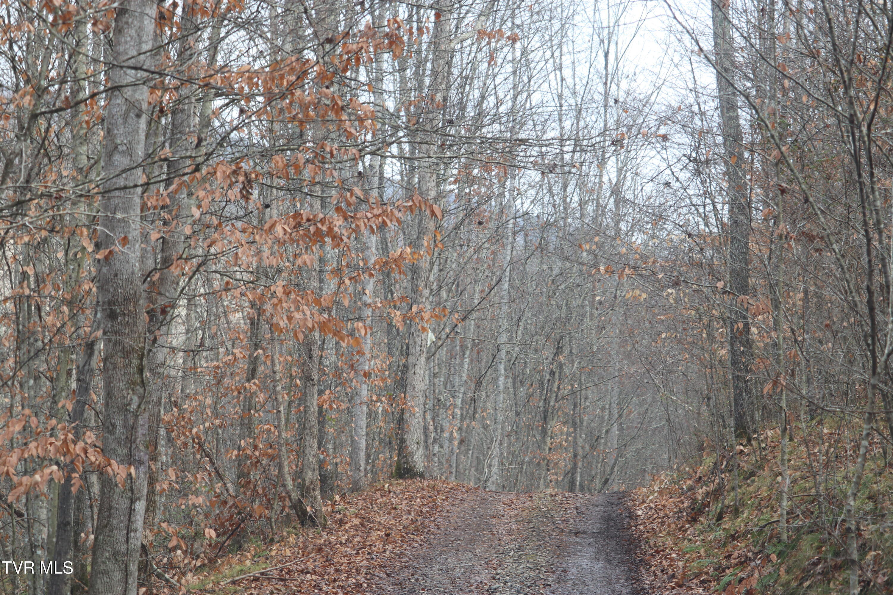 0 Briar Fork Road Bean Station, TN 37708 - Photo 21 of 30 briar fork 5