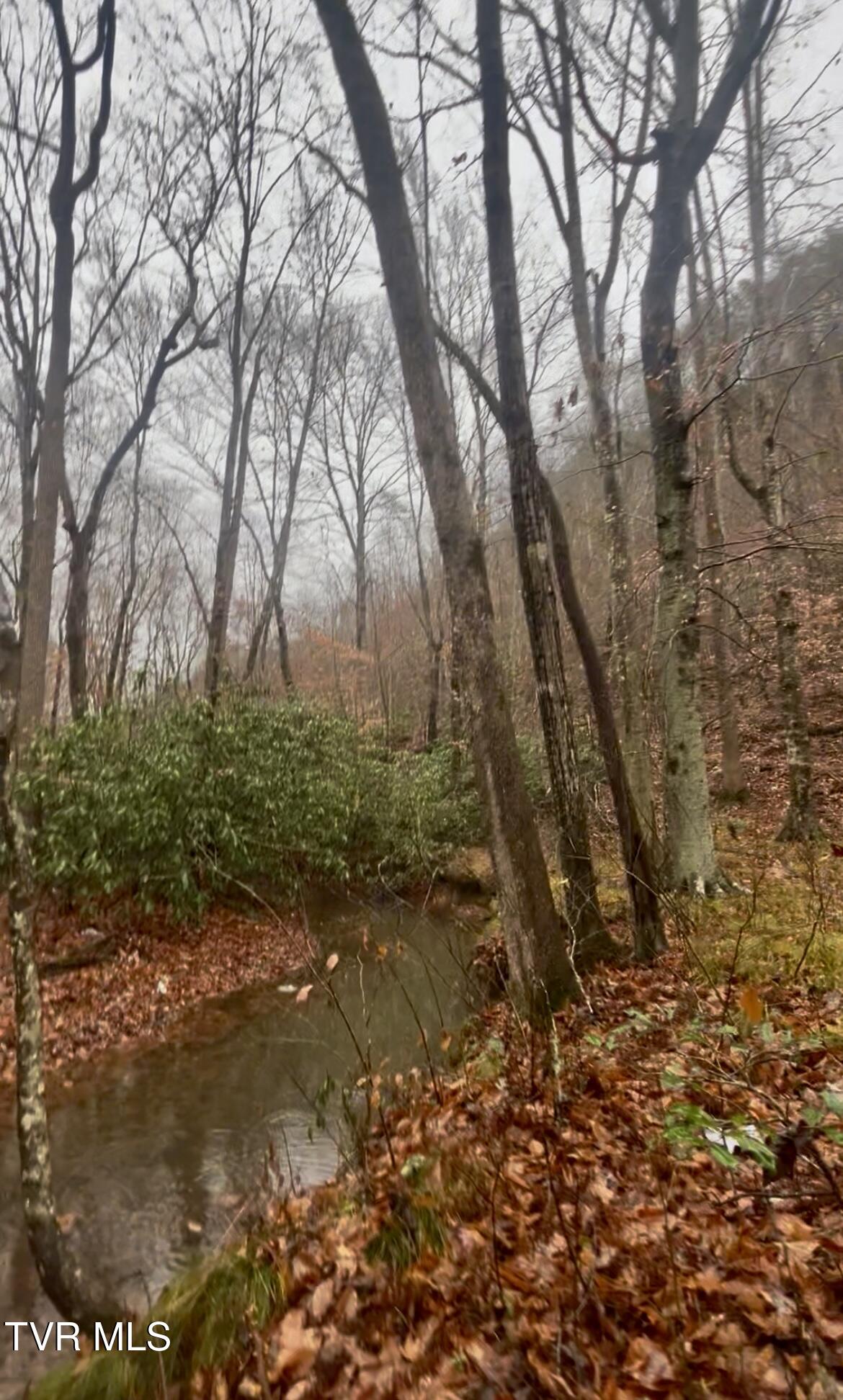 0 Briar Fork Road Bean Station, TN 37708 - Photo 22 of 30 IMG_0552