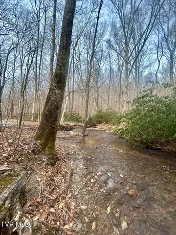 $850,000 | 0 Briar Fork Road, Bean Station, TN 37708