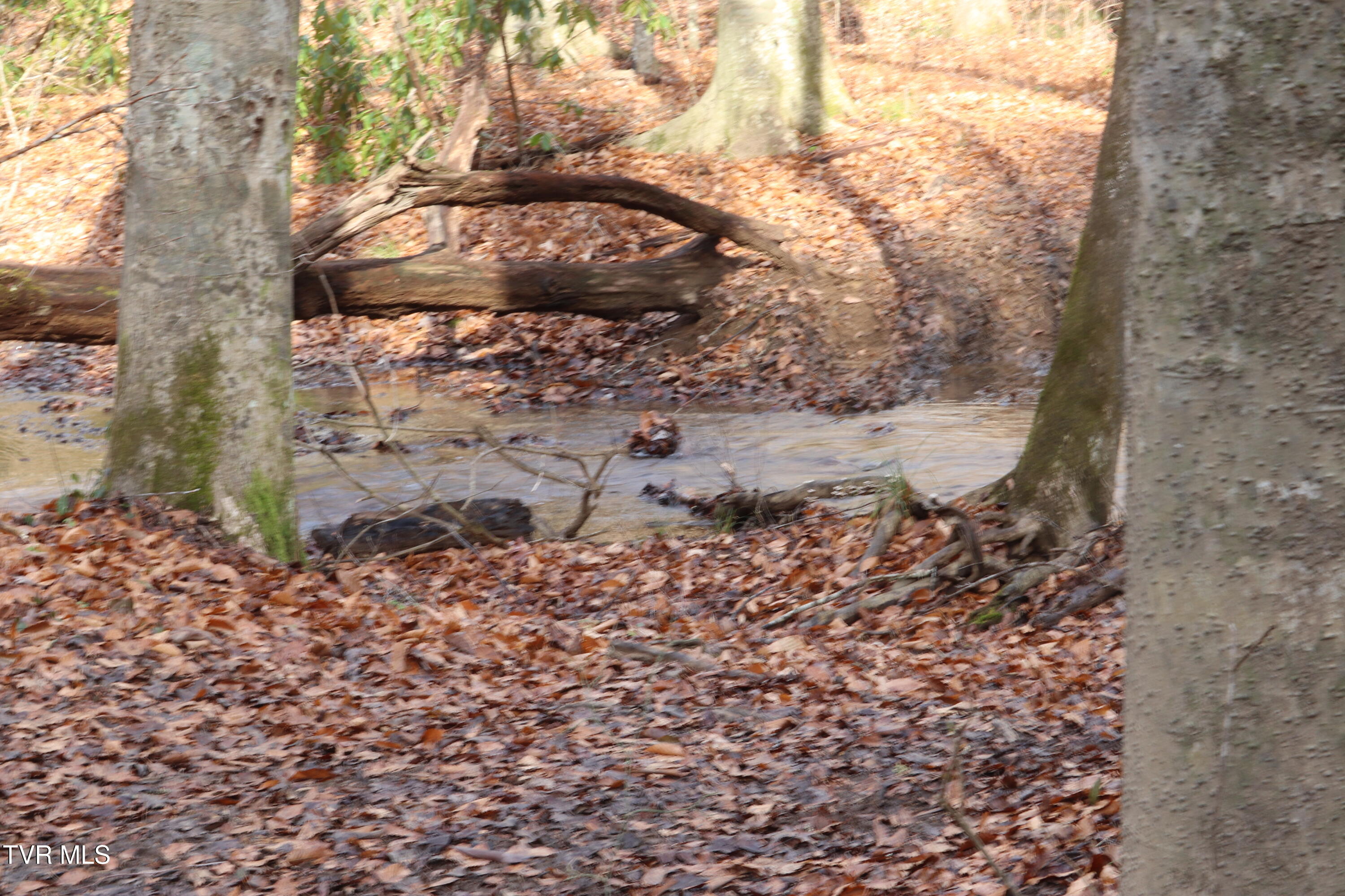 0 Briar Fork Road Bean Station, TN 37708 - Photo 4 of 30 briar fork 7