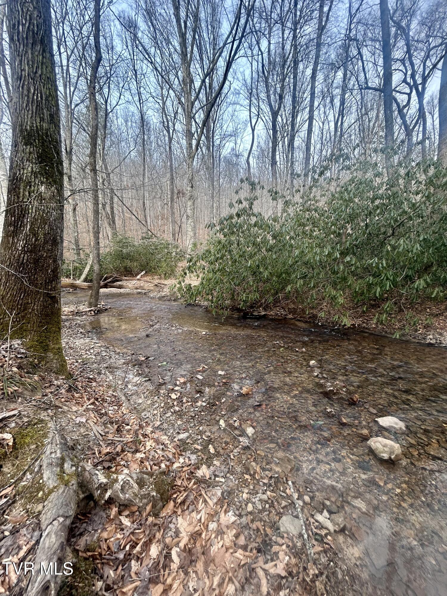 0 Briar Fork Road Bean Station, TN 37708 - Photo 6 of 30 IMG_0988 (1)