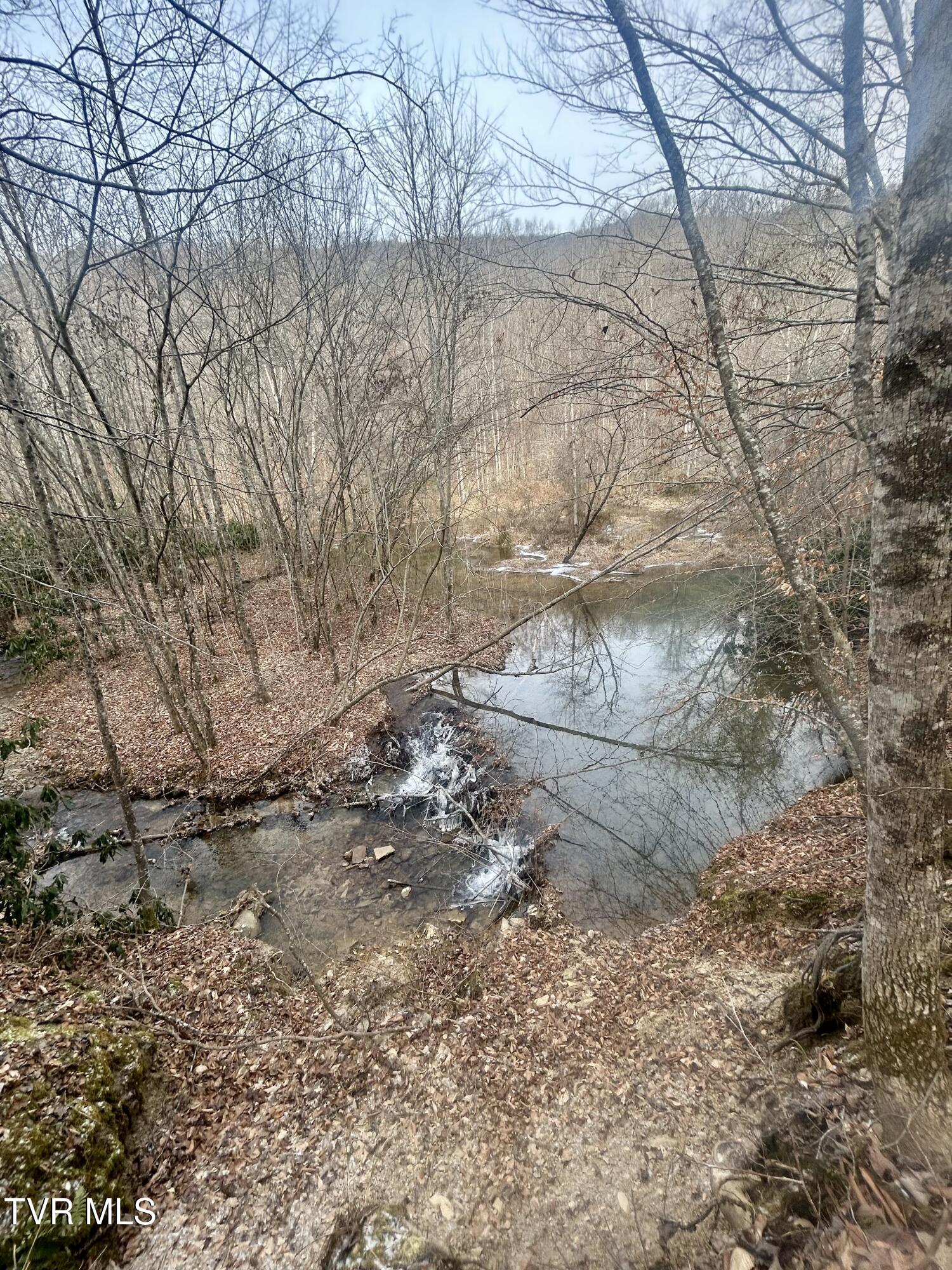 0 Briar Fork Road Bean Station, TN 37708 - Photo 7 of 30 IMG_0982